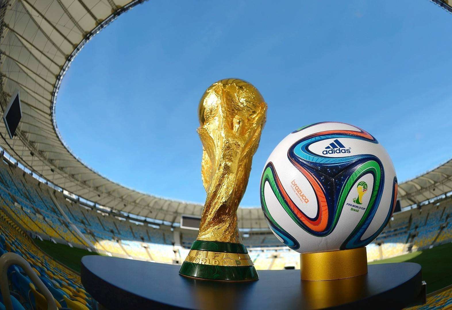 奥尔佳环保材料宣传册设计欣赏-东莞品牌设计